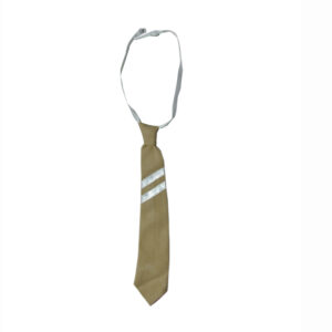 CBSE Small Tie-Sarvagna School